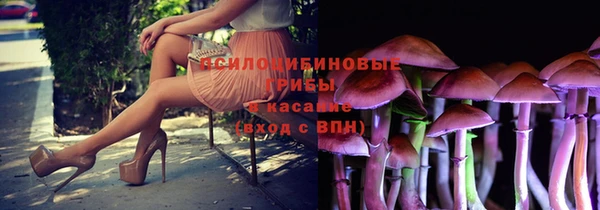 ГАЛЛЮЦИНОГЕННЫЕ ГРИБЫ Михайловка